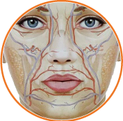 Dermatology And Plastic Surgery