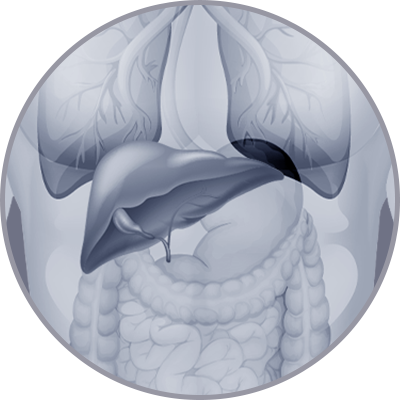 Hepatobiliary Surgery